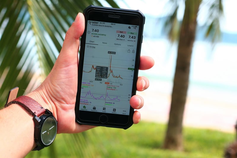 Price Volatility